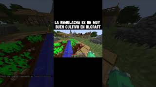 Remolacha En Rlcraft [upl. by Gnouhp186]