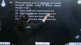 When contraction occur in diaphragm and external intercostal muscles volume of thoracic chamber [upl. by Kealey]