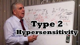 Type 2 Hypersensitivity [upl. by Theodosia464]