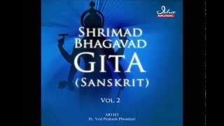 Bhagavad Gita  Chapter 07 Complete Sanskrit recitation [upl. by Hamil268]