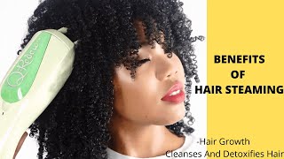 HAIR STEAMING FOR ALL YOUR HAIR PROBLEMS hairgrowth naturalhair tips [upl. by Tipton]