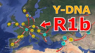 How did the YDNA Haplogroup R1b become EuropeanHuman Migration [upl. by Perlman]