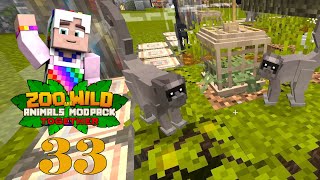 Building a Zoo on Zawa Together  Ep33 Spider Monkeys [upl. by Humpage913]