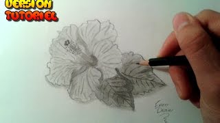 Comment dessiner une fleur Tutoriel [upl. by Nyrok239]