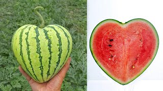 15 STRANGE Genetically Modified Foods [upl. by Eiloj247]