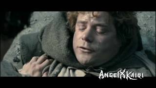 Frodo and Sam  What Hurts the Most [upl. by Cannell]