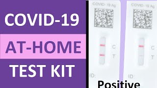 How to Take a COVID19 Antigen Home Test Flowflex  Positive vs Negative COVID19 Test [upl. by Ahsuoj255]