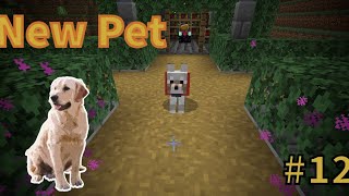 I bought a new pet dog in Minecraft  S2 E12 [upl. by Pamelina]