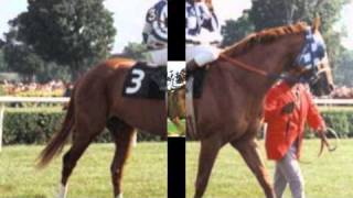 SECRETARIAT Gods Perfect Creature [upl. by Orsay]