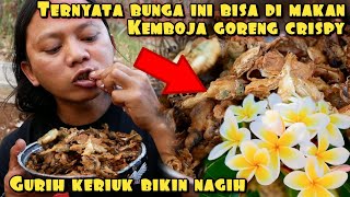 BUNGA KEMBOJA GORENG CRUSPY ENAK LEZAT BIKIN NAGIH [upl. by Annaek]