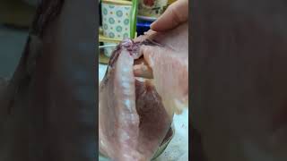 espadon grillé 🐟 اسبادون مشوي على طريقة المطاعم وصفات سهلة مع سارة 👩🏻‍🍳 [upl. by Free]