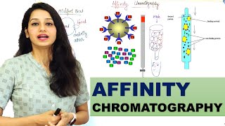 Affinity chromatography I Basic and Detailed Explanation I Techniques [upl. by Teague41]