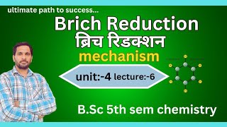 brich reduction  brich reduction mechanism  bsc 5th semester chemistry [upl. by Latsyk]