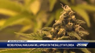 Recreational marijuana will appear on Florida ballot [upl. by Cicero329]