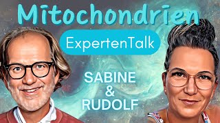 Mitochondrien Experten Talk mit Dr Bolzius [upl. by Yoshio]