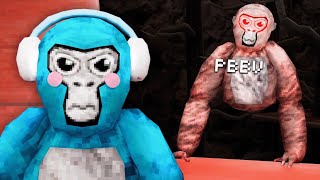 I Found PBBV  Gorilla Tag VR [upl. by Acinomed399]