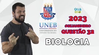 UNEB 2023  Questão 32  As pirâmides ecológicas são representações gráficas das cadeias alimentares [upl. by Ecam]