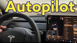 Tesla AutoPilot Basics  How To Use Auto Pilot In Tesla Model Y amp 3 [upl. by Franckot439]