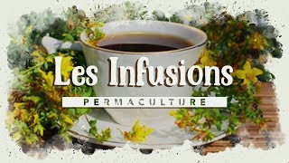 Comment faire ses infusions maison [upl. by Alvy368]