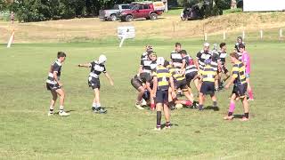 U14s Bushranger Trials Day 2 Game 1  Mackay v Rocky  050524 [upl. by Arte311]