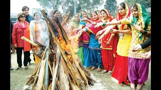 Lohri Songs I Punjab I New Lohri Song I Lohri Dance Performance I Lohri Festival I Lohri Celebration [upl. by Nosna]