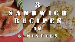 3 Sandwich Recipes in 5 Minutes  Sandwich Recipes For Breakfast [upl. by Orrocos]