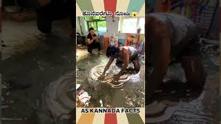 Amazing Painting Fact Video  kannada facts karnataka amazing youtubeshorts trendingshorts [upl. by Woolley]