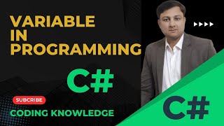 Variable in Programming C  Hindi [upl. by Nnaear328]