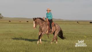 Tammy Pate on Saddles [upl. by Nodaj]