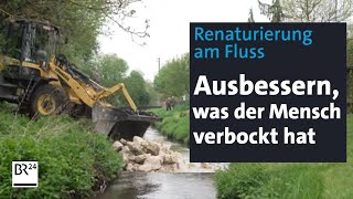 Ausbessern was der Mensch verbockt hat Renaturierung am Fluss  Abendschau  BR24 [upl. by Sapphira]