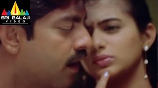 Pellaina Kothalo Songs  Chelivo Video Song  Jagapathi Babu Priyamani  Sri Balaji Video [upl. by Dwayne856]