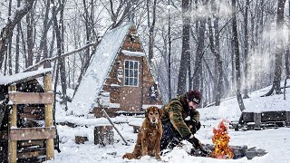 BRAVING A WINTER SNOWSTORM at the Cabin with my Dog [upl. by Hecklau653]