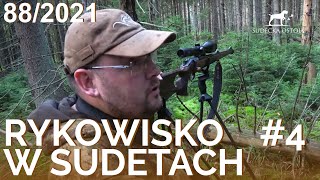 SUDECKA OSTOJA 882021 Deer Hunting Rykowisko polowanie na jelenie Wild jagen Chasse au cerf [upl. by Vierno]