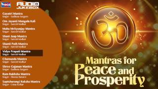 10 Mantras For Peace of Mind And Prosperity  Shiv Mantra  Shanti Mantra Chamunda Mantra [upl. by Elag]