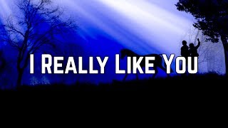 Carly Rae Jepsen  I Really Like You Lyrics [upl. by Mckee]