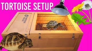 Setting Up My Hermanns Tortoise Enclosure  Zoo Med Tortoise House [upl. by Trammel]