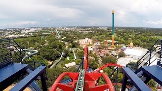 SheiKra Front Row POV Ride at Busch Gardens Tampa Bay on Roller Coaster Day 2016 Dive Coaster [upl. by Ron]