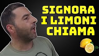 SIGNORA I LIMONI CHIAMA  🍋📞 [upl. by Armyn]