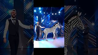 Man transforms into a Zebra on AGTAmericas got talent gottalent magic ai [upl. by Didier116]