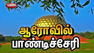 Auroville Puducherry  Travel Guide  Auroville Experience [upl. by Nytnerb968]