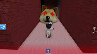 Roblox Doge Head Escape cats [upl. by Mojgan]