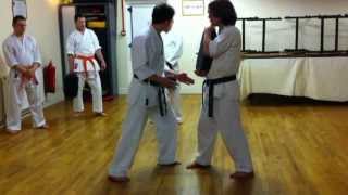 Body Dynamics for Close Range Striking in Traditional Karate [upl. by Estey]