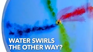 Does Water Swirl the Other Way in the Southern Hemisphere [upl. by Esinet]