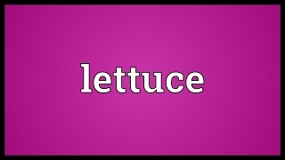 Lettuce Meaning [upl. by Elynad]