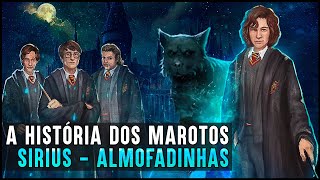 HOGWARTS UMA HISTÓRIA  MAROTOS ALMOFADINHAS [upl. by Bertila]