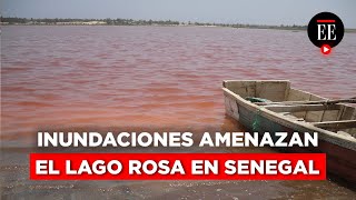 Inundaciones amenazan el ecosistema del Lago Rosa en Senegal  El Espectador [upl. by Aubarta]