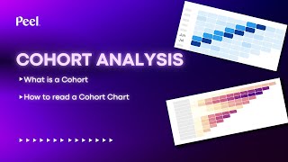 What is a Cohort How to Read a Cohort Analysis Chart [upl. by Anelas]