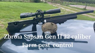 🇺🇦Zbroia Sapsan Gen II 22 caliber farm Pesting zbroia zbroiasapsan zbroiapcp zbroiaairguns [upl. by Nyleve]