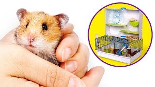 Léclate totale pour tes hamsters  Construisleur Une Super Maison [upl. by Karame152]