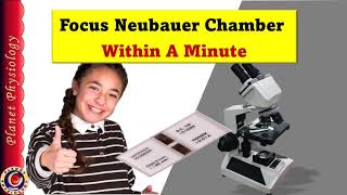 Focus Neubauer Chamber Within a Minute [upl. by Akiria]